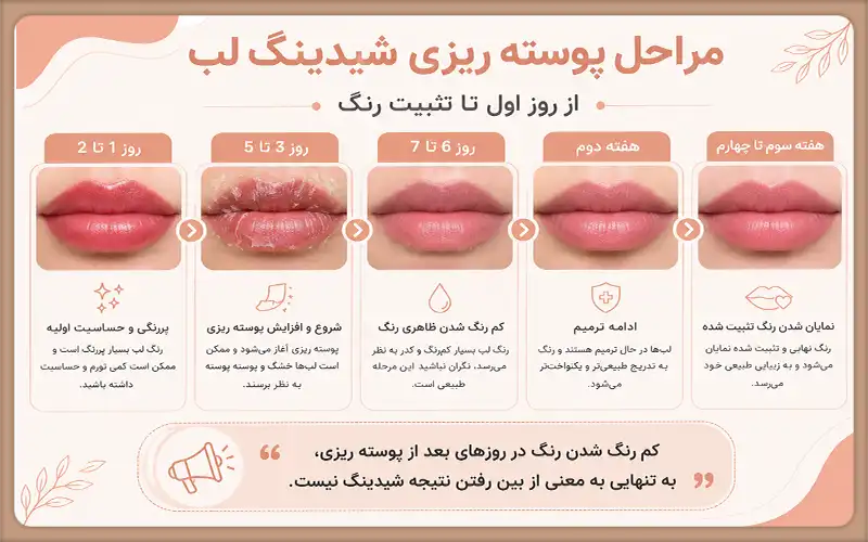 مراحل پوسته ریزی شیدینگ لب از روز اول تا تثبیت رنگ