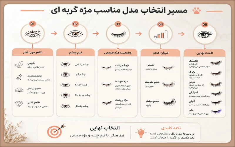 مسیر انتخاب مدل مناسب مژه گربه ای