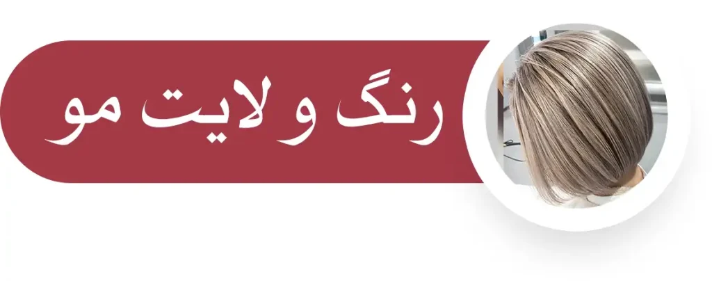رنگ و لایت