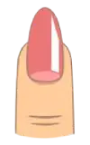 ناخن بادامی