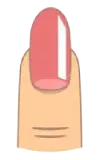 ناخن بیضوی